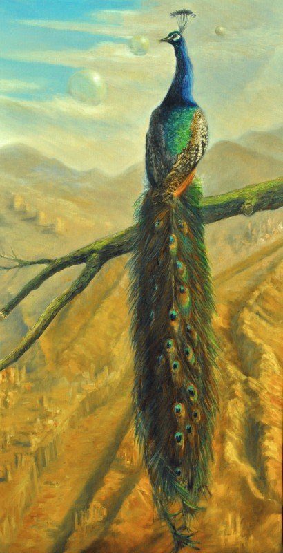 Peacock I #oilpainting R.Algera