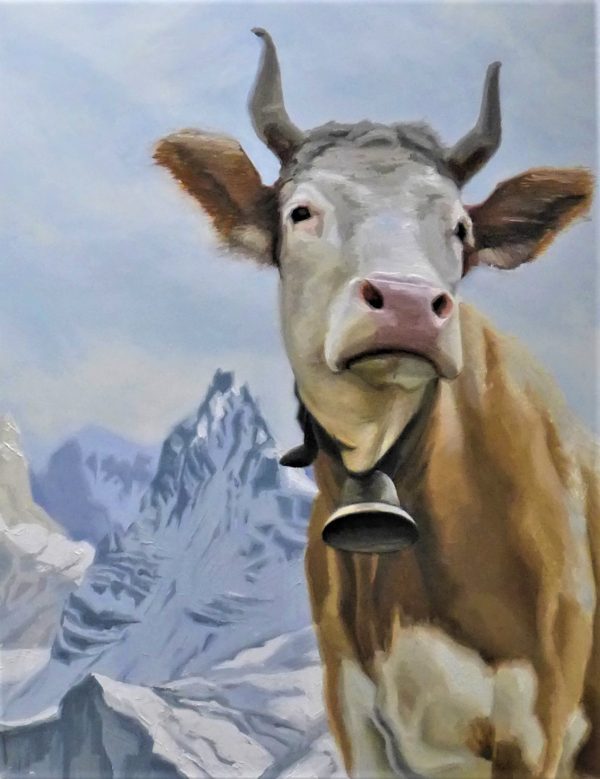 Een koe met horens en een bel torent hoog in de Alpen.