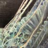Detail of Jellyfish2, oilpainting by Randolph Algera