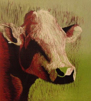 Houtsnede van een koe zonder hoorns. Rood groen gekleurd. Gemaakt door Gabriëlle Westra