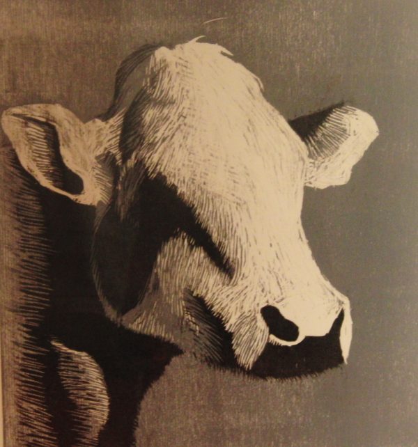 Houtsnede van een koe zonder hoorns. Zwart wit en grijs gekleurd. Gemaakt door Gabriëlle Westra