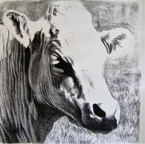 lithography of a cow by Gabriëlle Westra